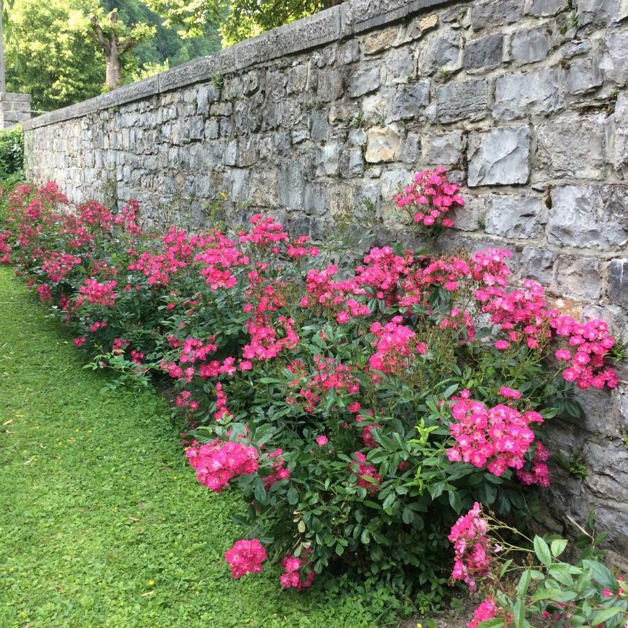 La Villa Des Roses Durbuy Exterior photo
